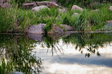 River and spring forest. Nature composition.