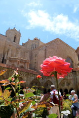 Fototapeta na wymiar Summer at the Cathedral of Tarragona in Catalunya, Spain