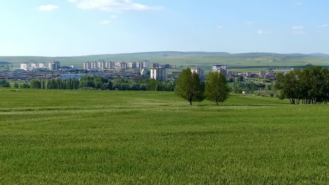 city and wheat cultivated fields,

