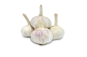 Garlic isolated on white background