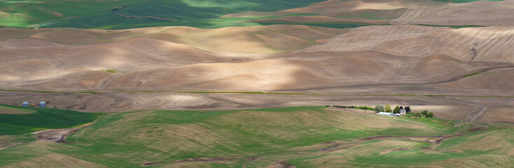 Palouse Landscape in spring