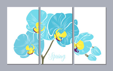 A set of 3 canvases for wall decoration in the living room, office, bedroom, kitchen, office. Home decor of the walls. Floral background with flowers of orchid. Element for design. 