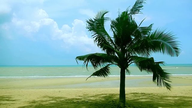 Palmenstrand