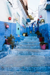 Blue Alley with Flower Pots in Medina, Chefchaouen, Moroco