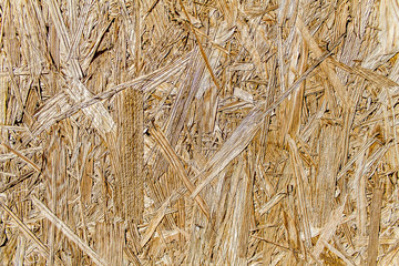 Old Wood Burning Plate as background