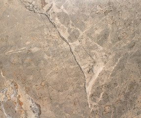 Artificial stone as the background-ceramic tile
