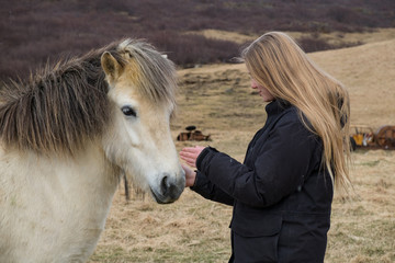 petting icelandic horse - 208443214
