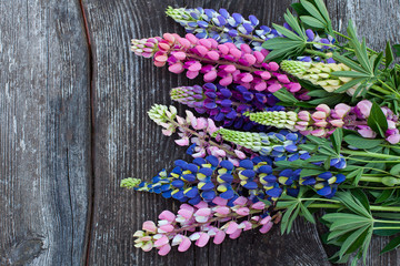 variety of lupin flowers on wooden surface