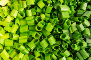Chopped green spring onion color gradation texture background