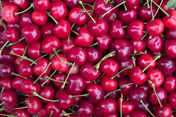 Cherry merry berry closep. Food photography