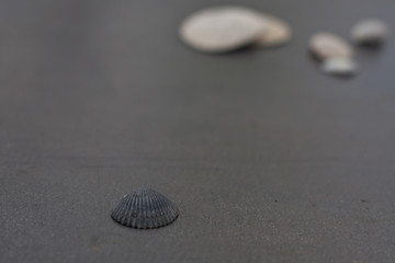 Sand and Sea