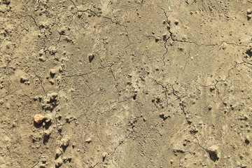 Dry black soil. Close-up. Background. Texture.