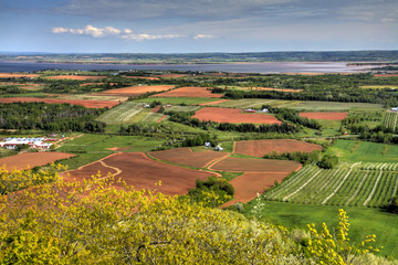 View over a valley with farmer's crops