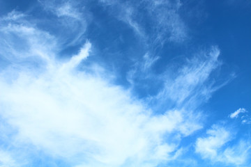 Beautiful blue sky and white cirrus clouds. Landscape. Background.