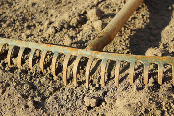 Old rusty metal rake lying on dry ground in the garden. Close-up. Background. Spring, 2018.
