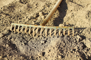 Old rusty metal rake lying on dry ground in the garden. Close-up. Background. Spring, 2018.