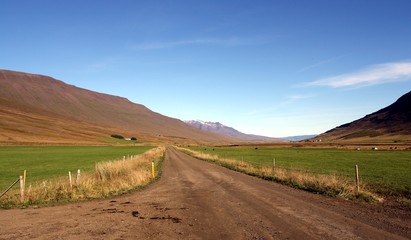 Camino para llegar a las granjas en Islandia.