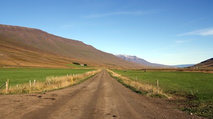 Camino para llegar a las granjas en Islandia.