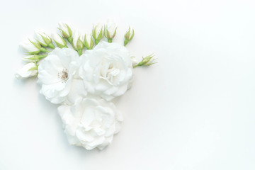 Fototapeta na wymiar White Rose
