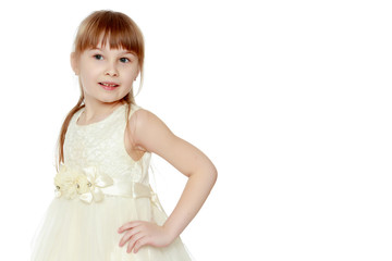 Fototapeta na wymiar Fashionable little girl in a dress