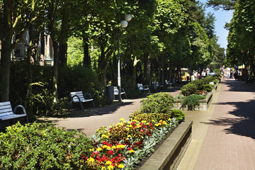Park in Jurata. Poland