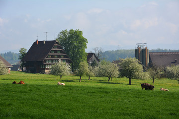 Nördlingen, Pfarrkirche St. Georg (