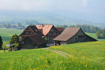 Fototapeta na wymiar Typischer Bauernhof im Kanton Zug