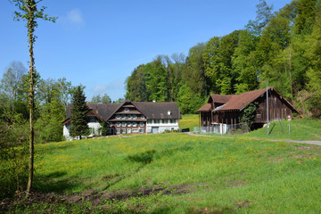 Fototapeta premium Binzmühle bei Rotkreuz, Kanton Zug