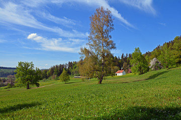 Landschaft bei Baar, Kanton Zug