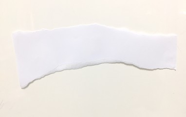 pieces of torn paper texture background, copy space.