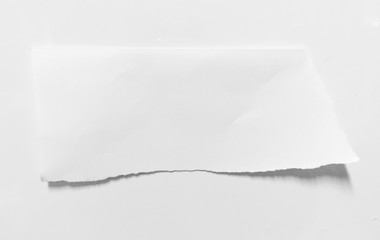 Obraz premium pieces of torn paper texture background, copy space.