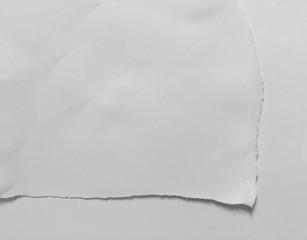 pieces of torn paper texture background, copy space.