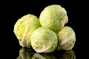 Fototapeta premium Fresh brussels sprouts