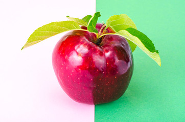 Single red ripe sweet apple with green leaves