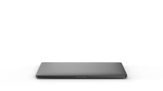 Laptop with blank screen isolated on white background. Whole in focus.