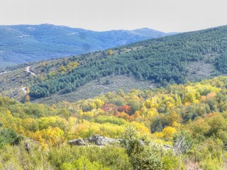 Paisaje campos en otoño en Valverde de los Arroyos en Guadalajara (Castilla La Mancha,España)