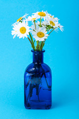Small bouquet of white daisies in vase