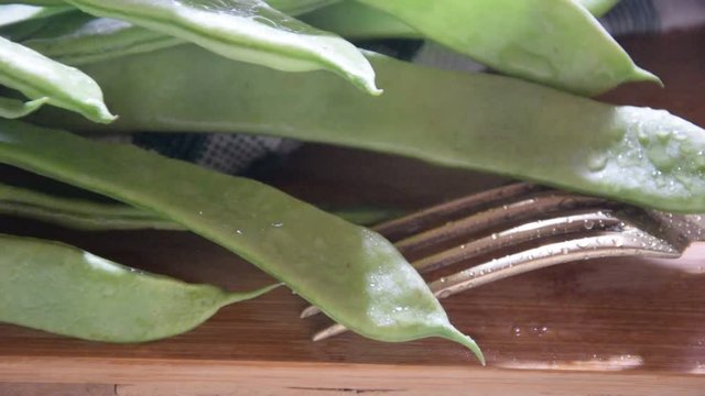 Pisum sativum Phaseolus vulgaris Լոբի Peas インゲンマメ Piselli שעועית מצויה Tegolina mangiatutto video Piattoni Gartenbohne Piattone Taccole Fagioli corallo インゲンマメ Fagiolini Taccola 