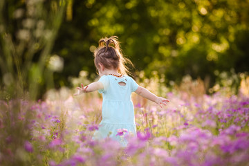 Fototapeta na wymiar Little girl with dark blond hair in a purple flower field during the evening golden light in the summer