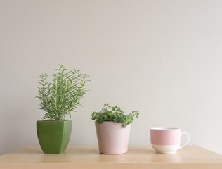 Rosemary plant in green container and oregano plant in pink container with pink and white cup on shelf against neutral wall background