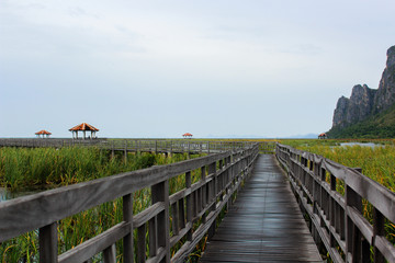 Wooden bridge