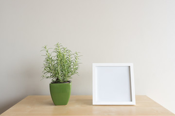 Rosemary plant in green ceramic container with blank square white frame on shelf against neutral wall background
