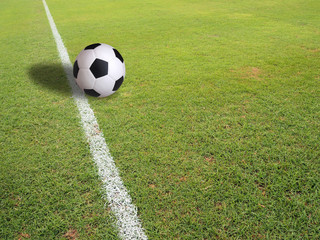 green grass with white line of football field