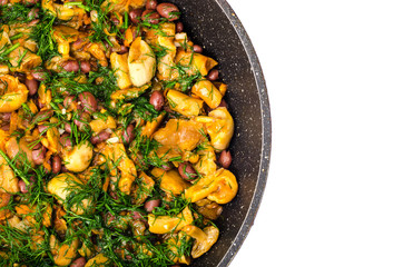 Vegetable stew of beans, onions, carrots and mushrooms