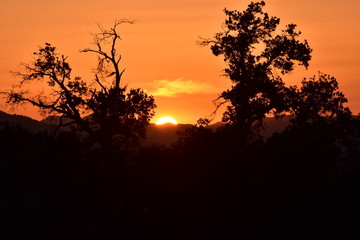 Fototapeta na wymiar Californischer Sonnenuntergang Sunset
