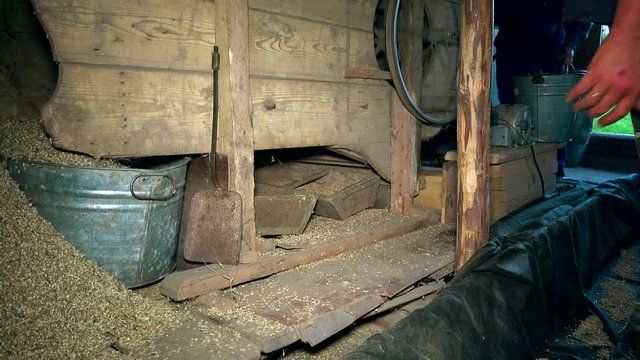 chaff and straw fall from grain sifting machine. farmer men working in farm barn