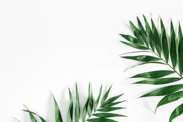 Photo sur Plexiglas Palmier Feuilles de palmiers tropicaux sur fond blanc. Notion d& 39 été. Mise à plat, vue de dessus, espace de copie
