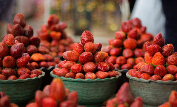 Indian Strawberry: Mahabaleshwar 