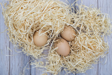 Still life with chicken eggs on wooden shavings