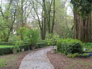 Romantic path in a secret garden